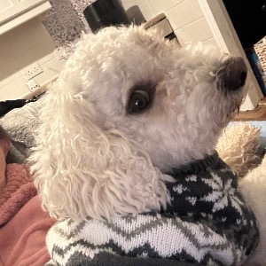 Babysitter required in Douglas, Cork, Ireland