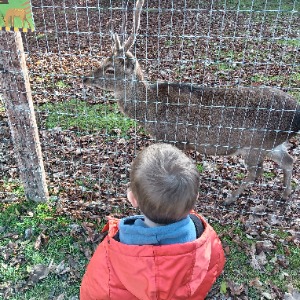 Special Needs Care Kilkenny