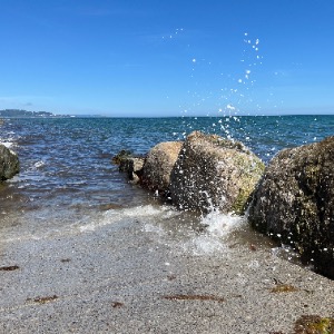 Childminders Wicklow