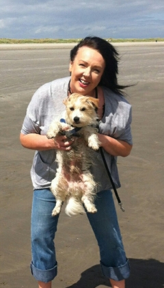 Babysitter required in Bray, Ireland