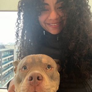 Babysitter required in 15 Boyd Avenue, Honeypark, Dublin, Ireland