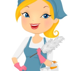 Cleaners Meath