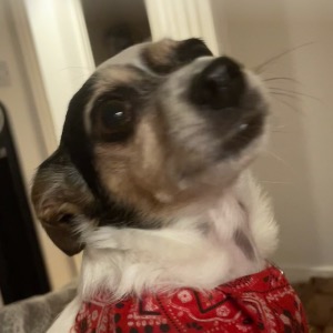 Babysitter required in Meath, County Meath, Ireland