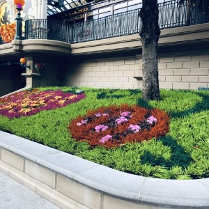 Babysitter required in Mountjoy, Dublin 1, Co. Dublin, D01 C6H9, Ireland