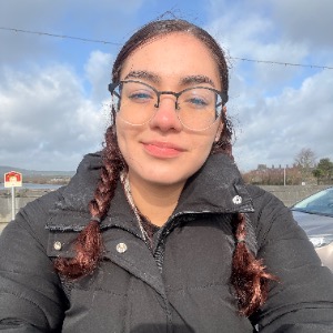 Babysitters Limerick