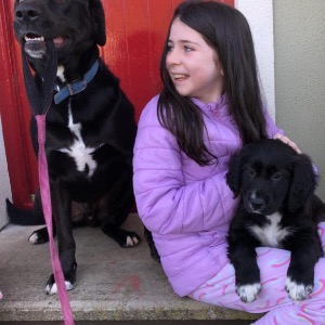 House Keepers Kilkenny