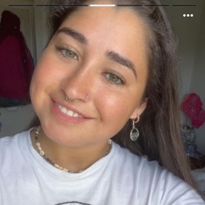 Dog walkers Limerick