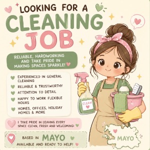 Cleaners Mayo