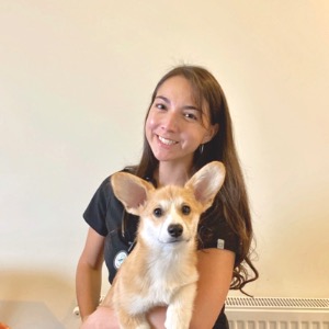 Pet Minders Dublin