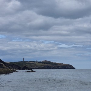 Cleaners Wicklow