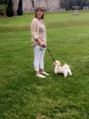 Babysitter required in Newbridge, Ireland