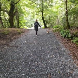 Babysitter required in Castlebar, Ireland