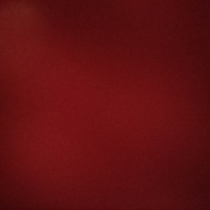 carer image
