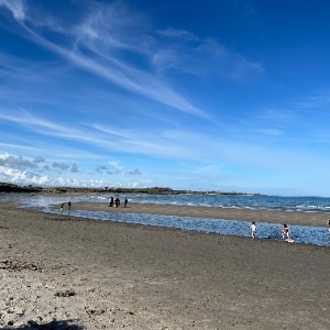 Babysitter required in Dun Laoghaire, Dublin, Co. Dublin, A96 ED36, Ireland