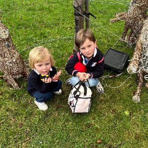 Babysitter required in Friarland, Dublin, Co. Dublin, D14 R266, Ireland