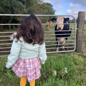 Babysitter required in Donadea, County Kildare, Ireland