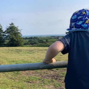 Babysitter required in Avoca, County Wicklow, Ireland