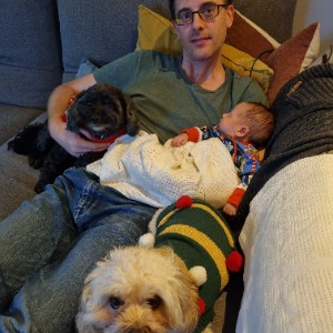 Babysitter required in Rathdown Lower, Greystones, Co. Wicklow, A63 W220, Ireland
