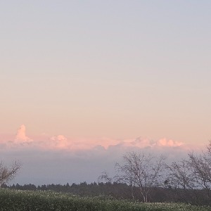 Babysitter required in Kilmurry South, Co. Wicklow, A98 X3N0, Ireland