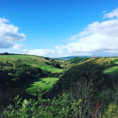 Babysitter required in Dublin 6, Dublin City, Ireland