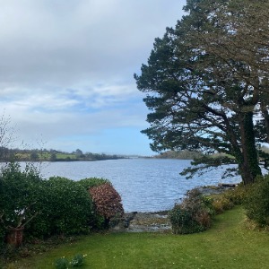 Babysitter required in Dundalk, Co. Louth, A91 A2P5, Ireland