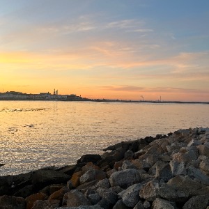 Babysitter required in Glenageary, Dublin, Co. Dublin, A96 W883, Ireland