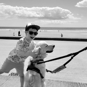 Babysitter required in Togher, Cork, Co. Cork, T12 A7D9, Ireland