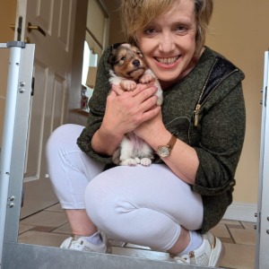 Babysitter required in Lecarrow, Co. Mayo, F12 KH50, Ireland