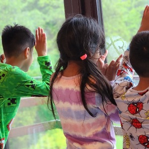 Childminders 