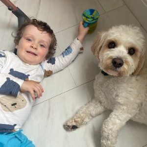 Babysitter required in Clontarf East, Dublin, Co. Dublin, D03 H5P2, Ireland
