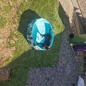Babysitter required in Passage West, County Cork, Ireland