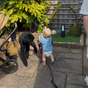Babysitter required in Phibsborough, Dublin, Ireland