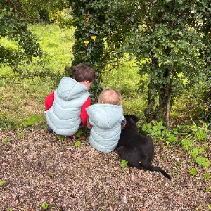 Babysitter required in Faithlegg, County Waterford, Ireland