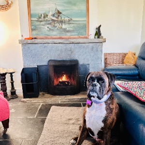Babysitter required in Greystones, Co. Wicklow