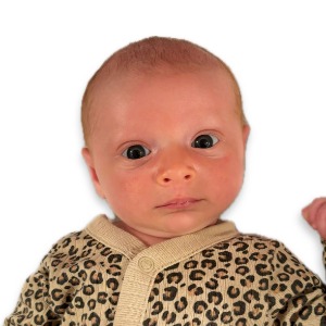 Babysitter required in London Bridge, Dublin, Ireland