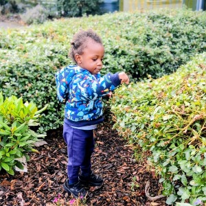 Babysitter required in Portlaoise, County Laois, Ireland