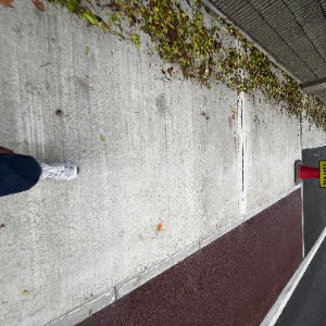 Babysitter required in Limerick, Ireland