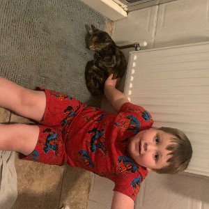 Babysitter required in Killowen, Kenmare, Co. Kerry, V93 PK33, Ireland
