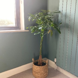 Babysitter required in Templeogue, Dublin, Co. Dublin, D6W XR12, Ireland