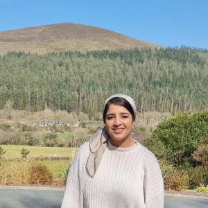 Babysitter required in Portmarnock, Co. Dublin, D13 CH6C, Ireland