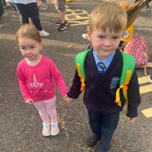 Babysitter required in 111 Balreask Manor, Co. Meath, C15 F5X2, Ireland