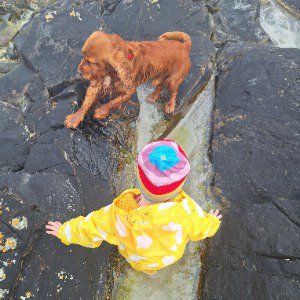 Babysitter required in Kilmacud West, Dublin, Co. Dublin, A94 Y6T7, Ireland