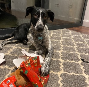 Babysitter required in Westport, County Mayo, Ireland