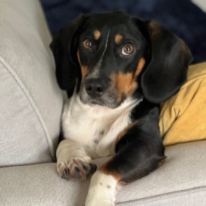 Babysitter required in Knockadosan, Co. Wicklow, A67 DX36, Ireland