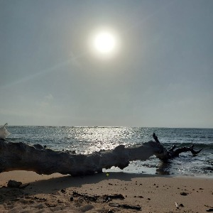 Babysitter required in Harold's Cross, Dublino, Irlanda