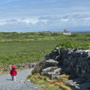 Babysitter required in Botanic, Dublin, Co. Dublin, D09 A2Y9, Ireland