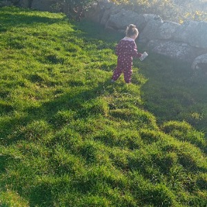 Babysitter required in Bealadangan, Co. Galway, H91 N5HW, Ireland