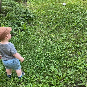 Babysitter required in Sligo, Ireland