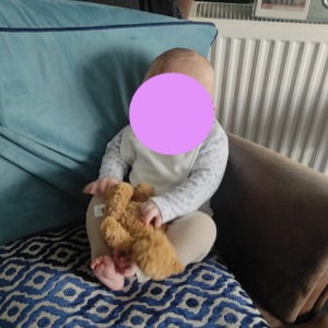 Babysitter required in Killaloe, County Clare, Ireland