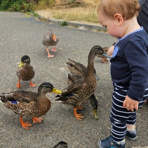 Childminders 